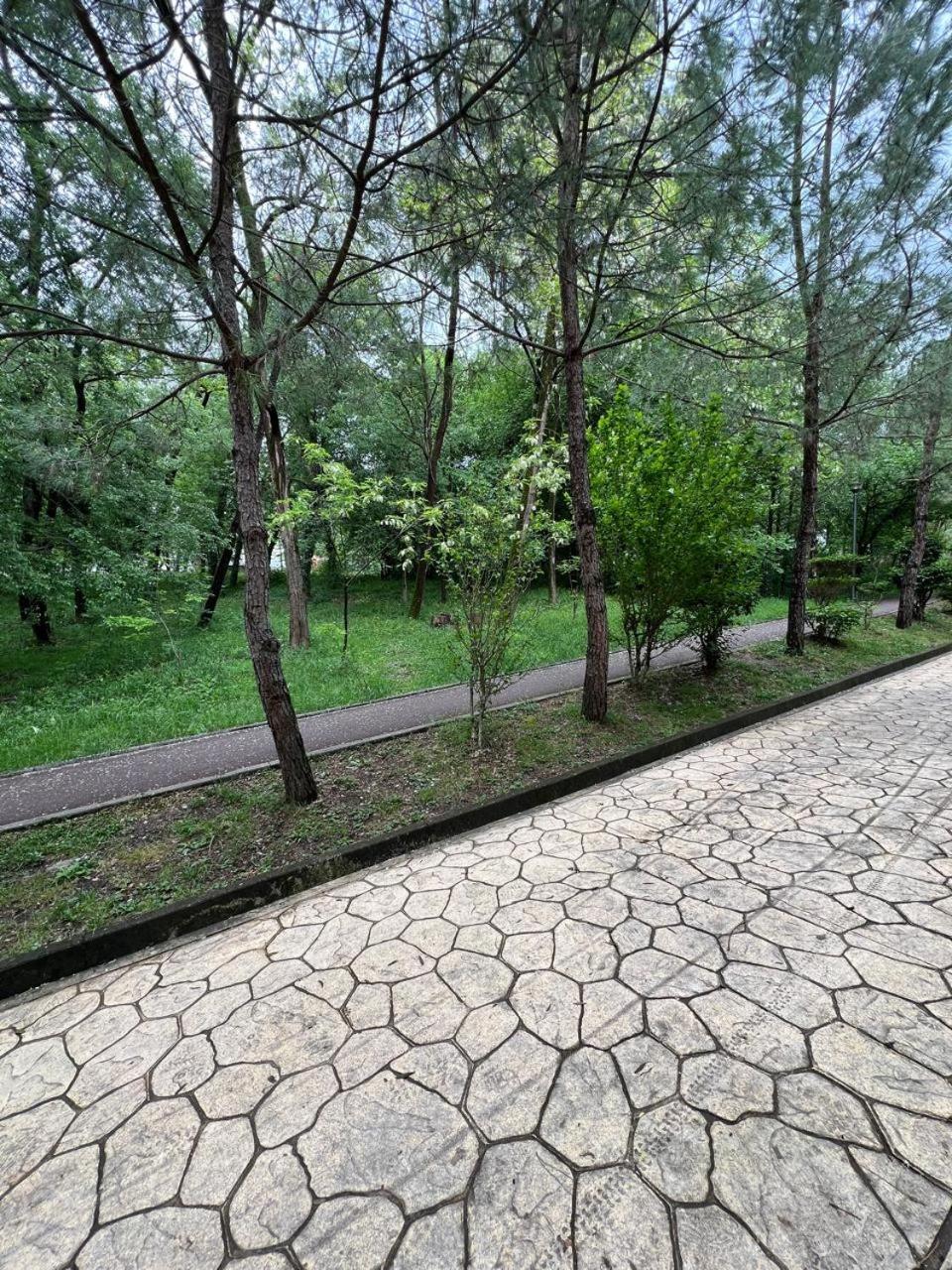 Cozy Flat Near Air Albania Stadium 1 Тирана Экстерьер фото
