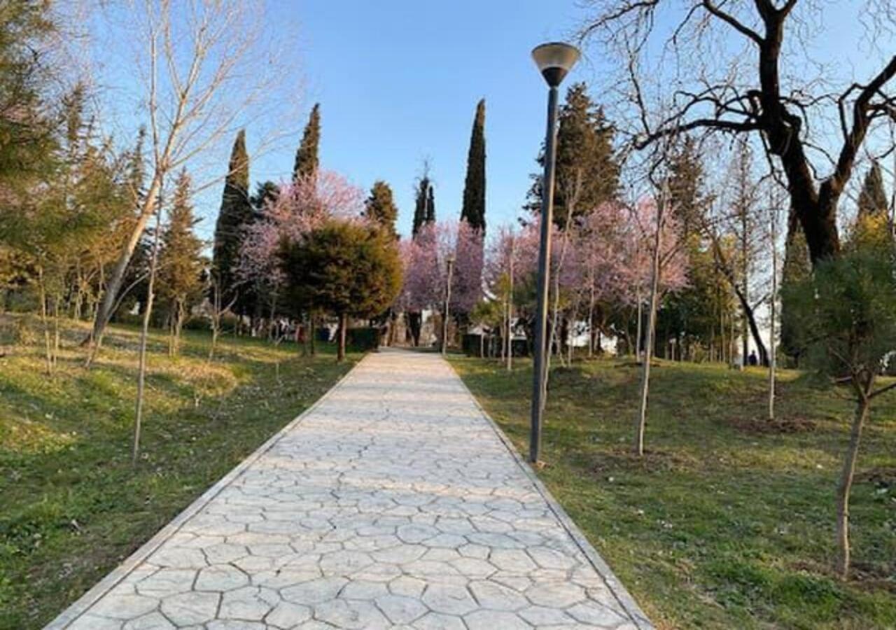 Cozy Flat Near Air Albania Stadium 1 Тирана Экстерьер фото
